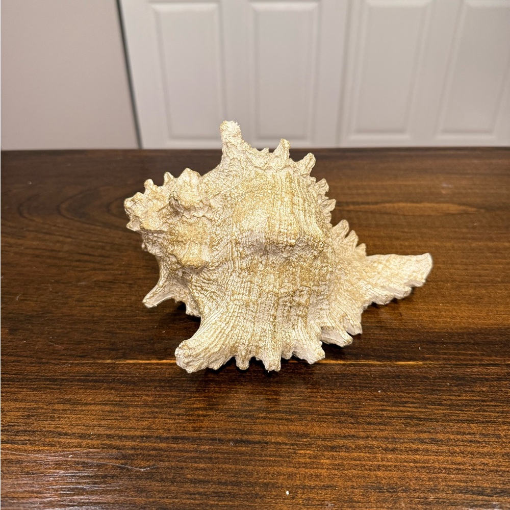 Decorative Faux Coral Shell Tealight Holder Coastal Decor